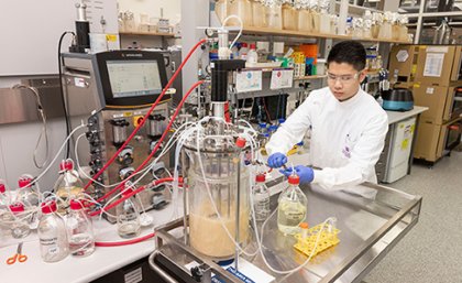 A UQ researcher using a bioreactor, one of the key pieces of equipment in establishing a vaccine candidate. A man wearing a lab coat and safety goggles using a large piece of equipment in a laboratory. The equipment consists of a large half-filled container with tubes directed into several smaller containers.